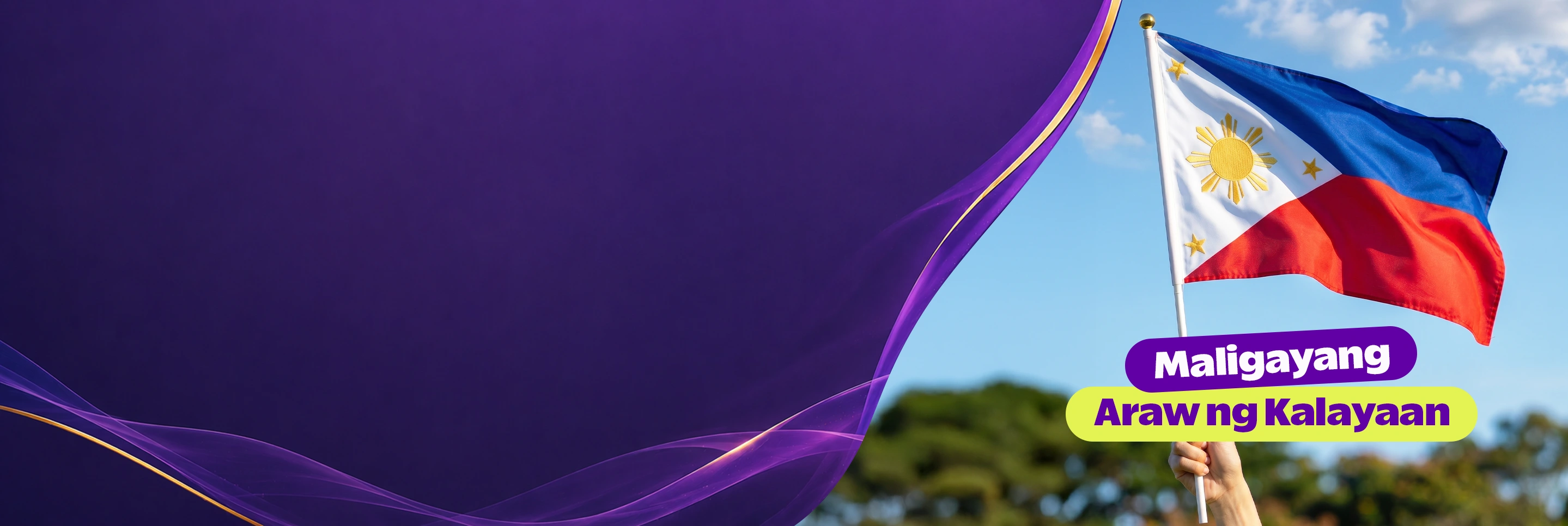 Promotional Banner