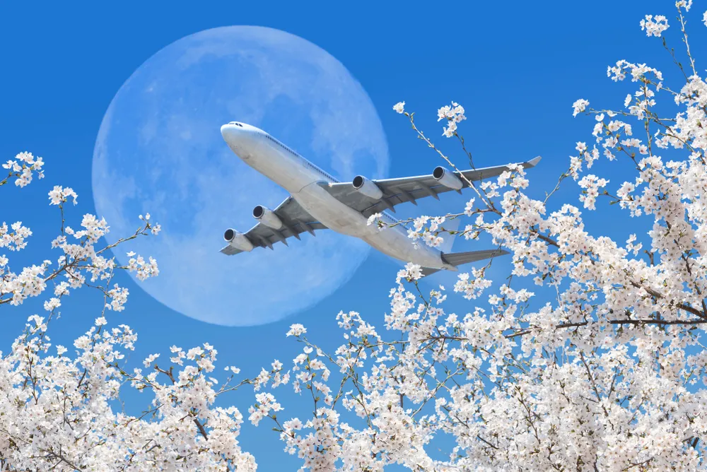 Tips for Booking Flights to Japan for Sakura Season